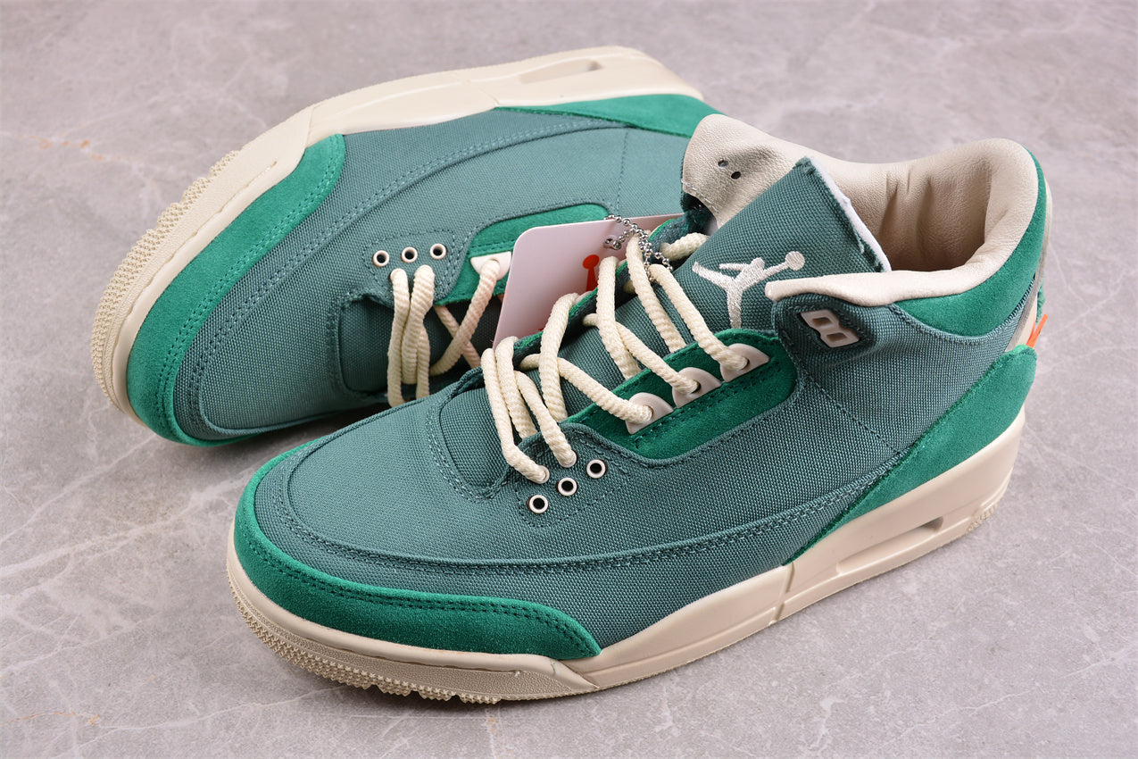 Jordan 3s X Nina Chanel Abney custom
