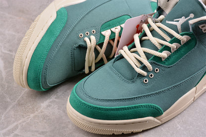 Jordan 3s X Nina Chanel Abney custom