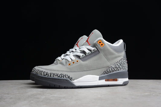 Jordan 3s Cool grey