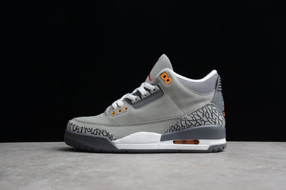 Jordan 3s Cool grey