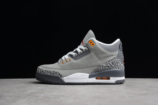Jordan 3s Cool grey