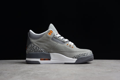 Jordan 3s Cool grey